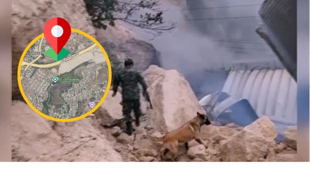 Perros rescatistas de la Policía Militar en operativo de búsqueda en Loarque
