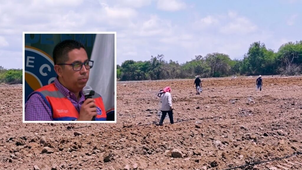 emergencia provocada por la sequía
