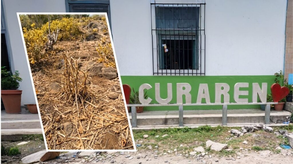 Agricultores de Curarén acarreando recipientes de agua sobre animales en una calle de tierra