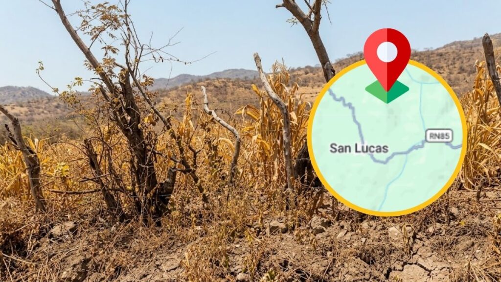 Campos de cultivo secos en San Lucas mostrando el suelo agrietado por la sequía