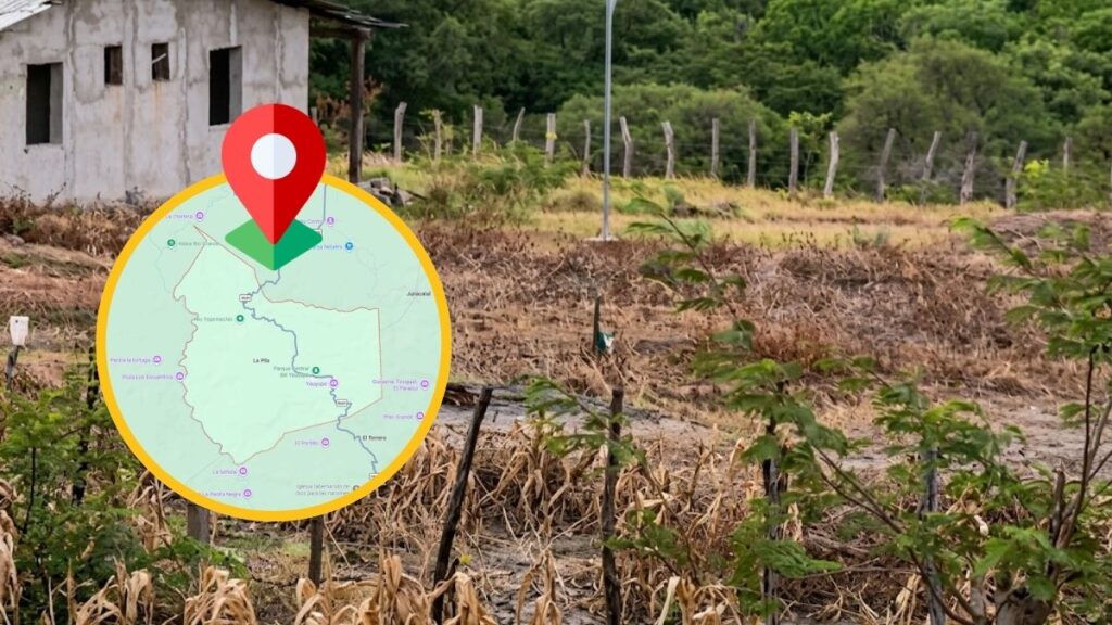campo de maíz seco agrietado por la sequía extrema