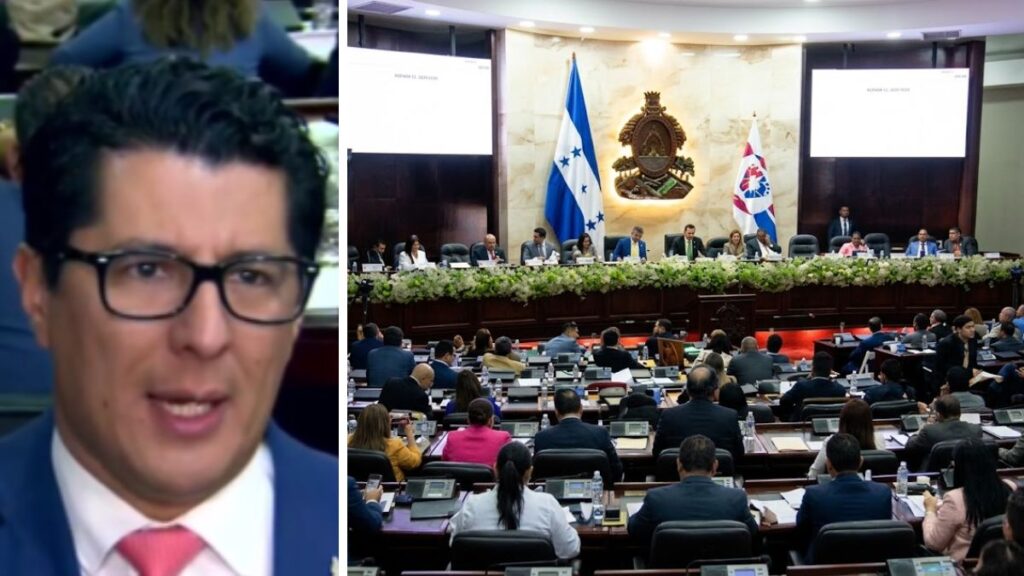 Sesión del Congreso Nacional donde se invalidó la publicación de la ley de embarazo adolescente