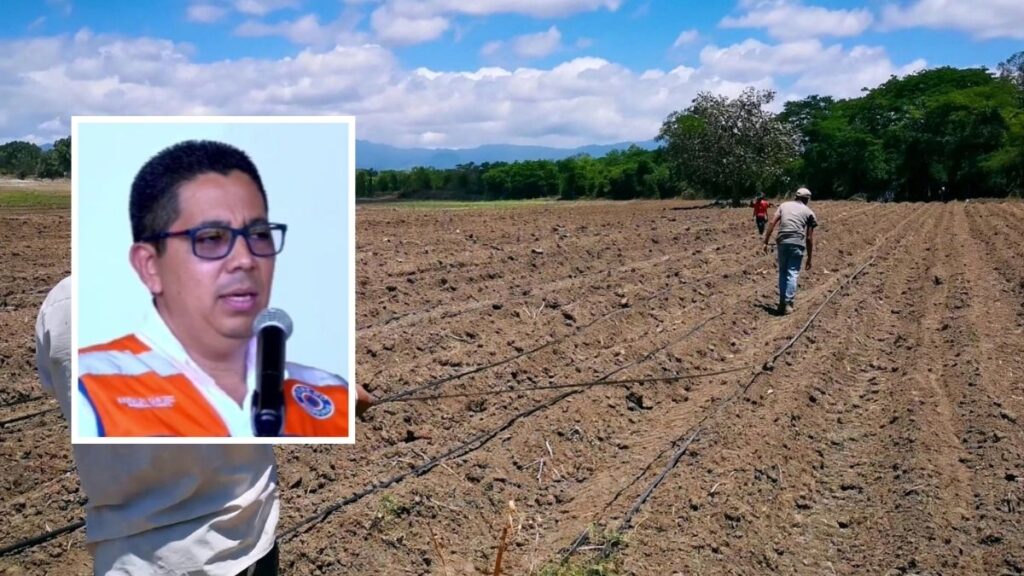 Suelo seco en zona rural hondureña afectada por el prolongado periodo de sequía